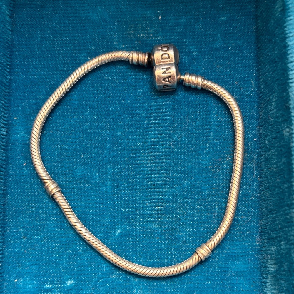 Pandora snake bracelet